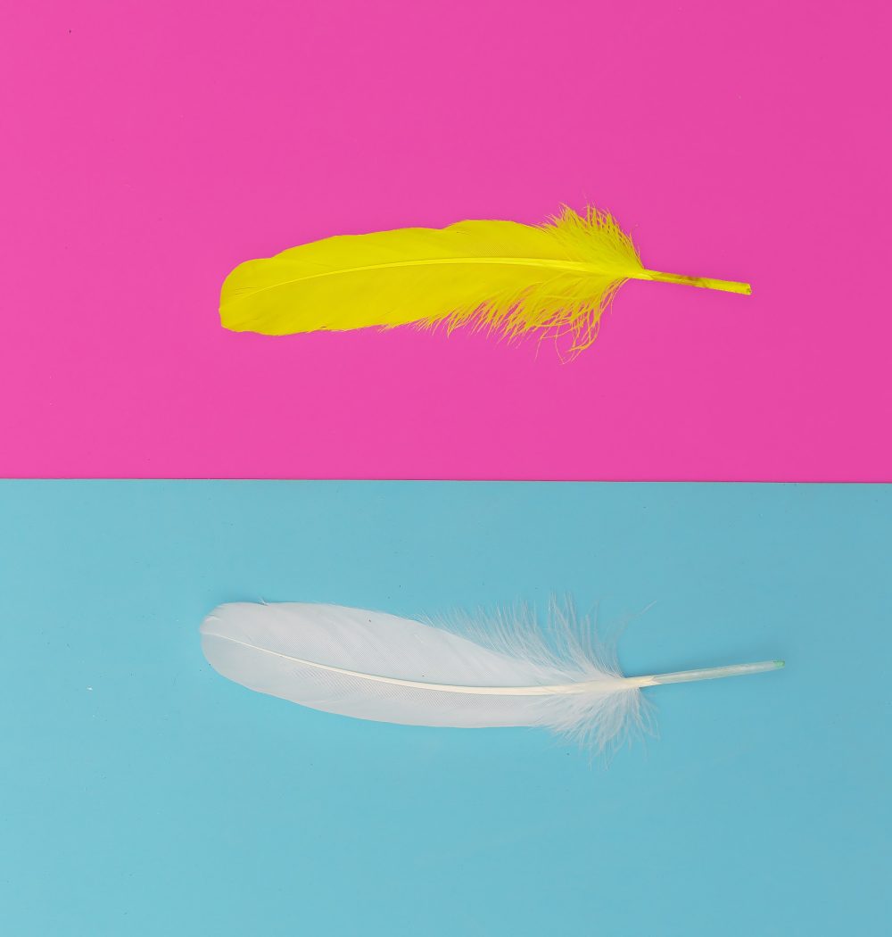 feathers-minimal-art-design-fashion.jpg